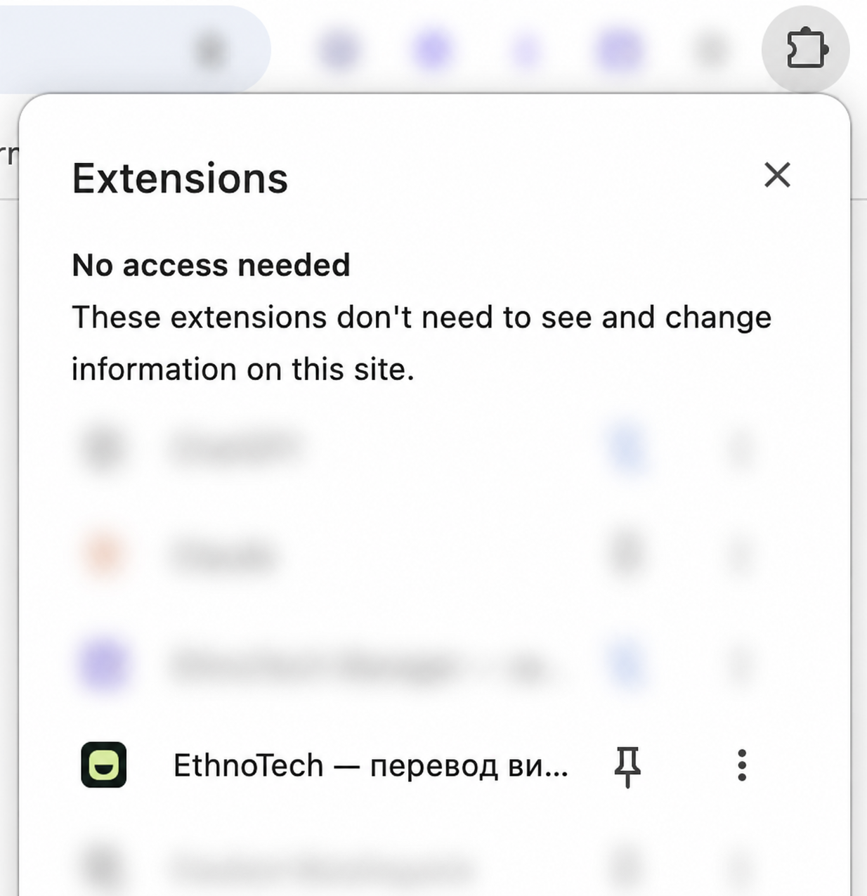 Меню расширений Chrome со строкой EthnoTech